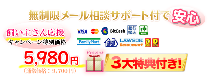 �_�E�����[�h�ŁE�ō��ݔ̔����i�@�T�X�W�O�~