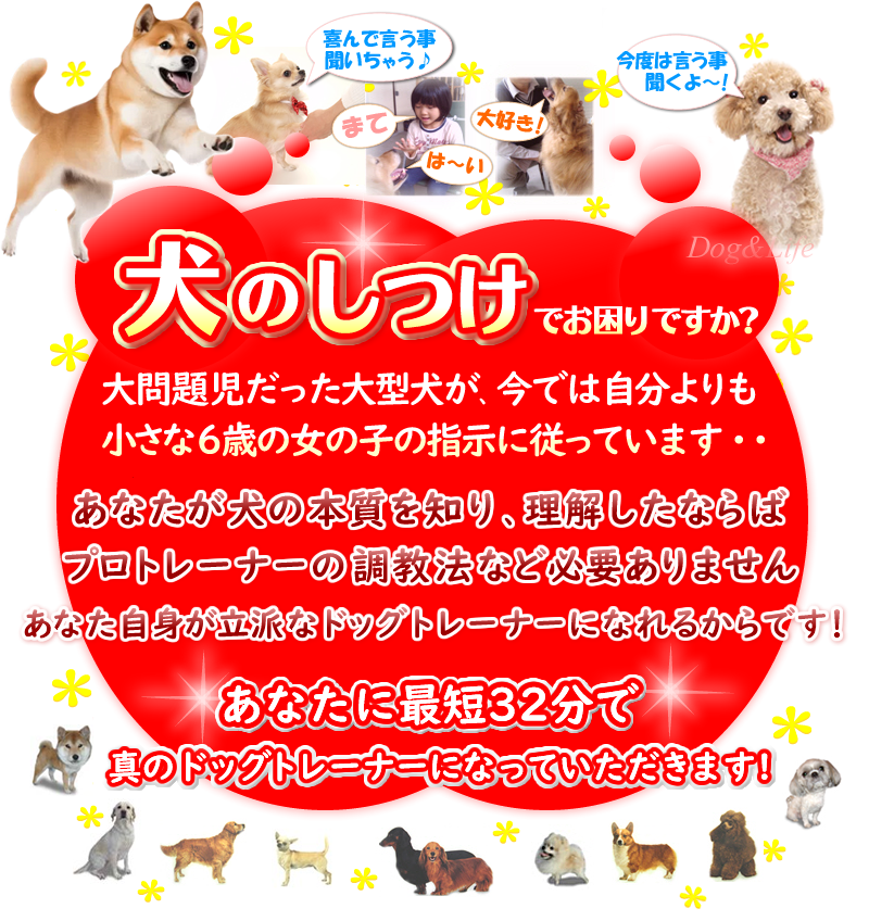 �U�΂̏��̎q�ł��ł������̂����}�j���A��