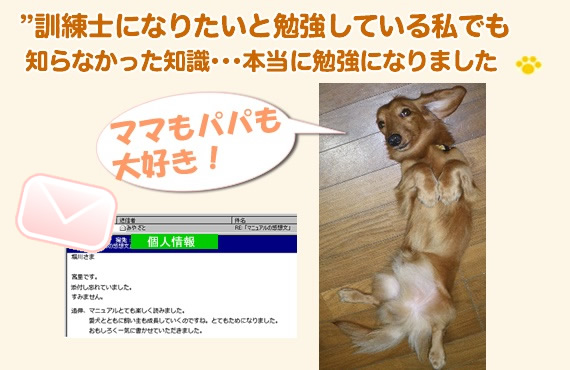 �{���l�̂����z