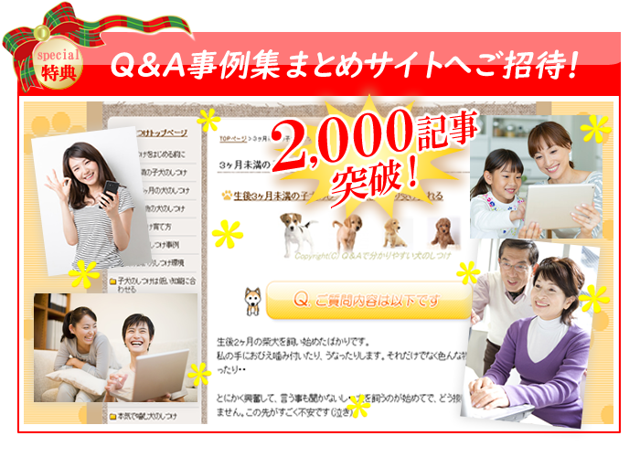 ���[�����k�p���`����W�ւ��ē�