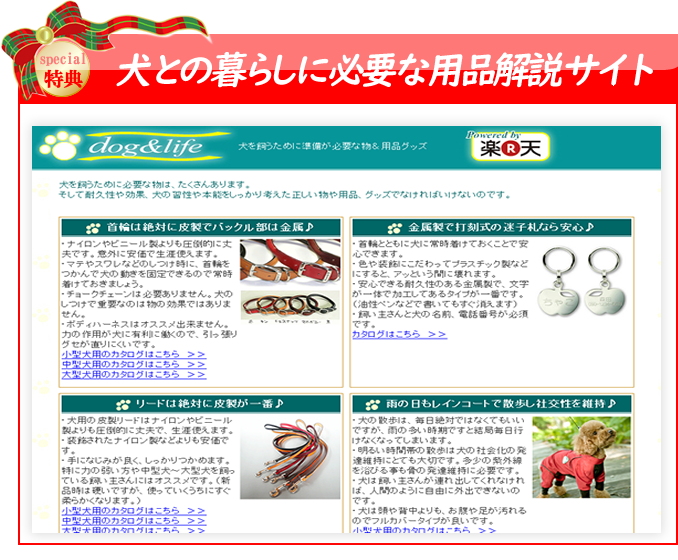 ���p�i����T�C�g�ւ�����