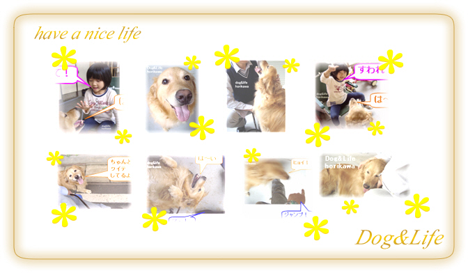 ���̂������y����������@