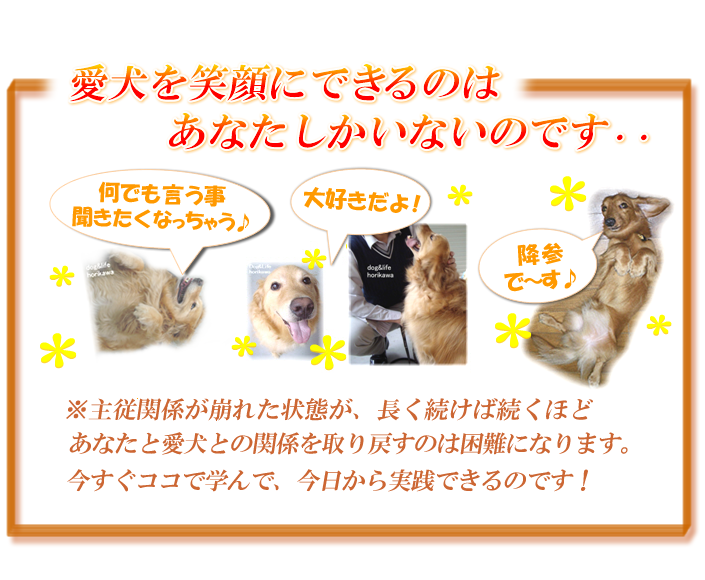 �������Ί�ɂ��Ă����Ă�������