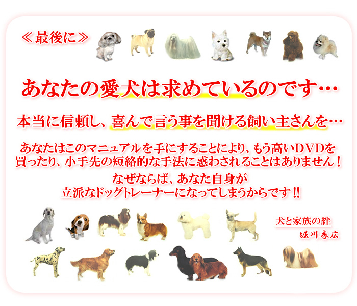 ���Ȃ��̌��͋��߂Ă���̂ł�