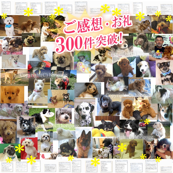 �����z100���˔j�I